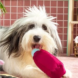 Bark 'Pure Pup Juice Cleanse' Dog Toy